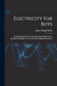 Electricity For Boys: A Working Guide, In The Successive Steps Of Electricity, Described In Simple Terms, With Many Original Illustrations