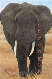 Strength