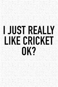 I Just Really Like Cricket Ok?