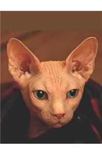Sphynx Hairless Cat Lovers Journal
