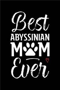 Best Abyssinian Mom Ever