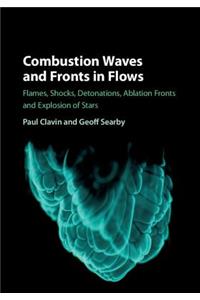 Combustion Waves and Fronts in Flows