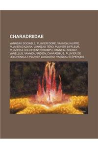Charadriidae: Vanneau Sociable, Pluvier Dore, Vanneau Huppe, Pluvier D'Azara, Vanneau Tero, Pluvier Siffleur, Pluvier a Collier Inte
