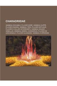 Charadriidae