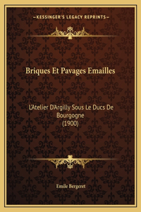 Briques Et Pavages Emailles