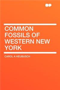 Common Fossils of Western New York