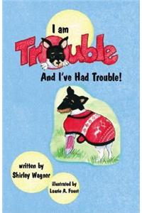 I Am Trouble and I've Had Trouble!