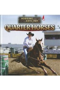 Quarter Horses