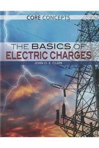 Basics of Electric Charges