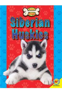 Siberian Huskies