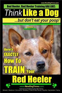 Red Heeler, Red Heeler Training AAA AKC