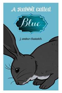 rabbit called Blue