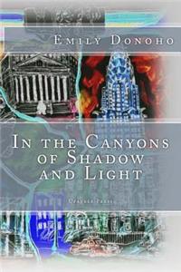 In the Canyons of Shadow and Light