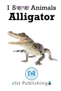 Alligator