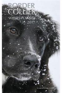 Border Collies Weekly Planner 2017