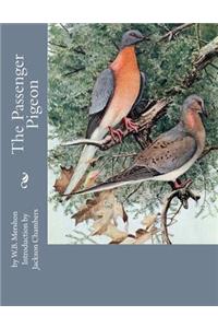 Passenger Pigeon