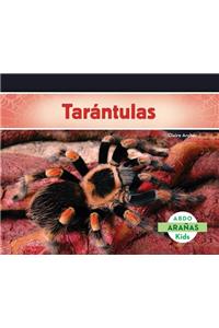 Tarántulas (Tarantula Spiders) (Spanish Version)