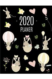 Hase Planer 2020