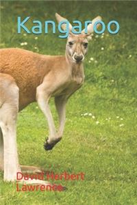 Kangaroo