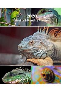 2020 Weekly and Monthly Planner
