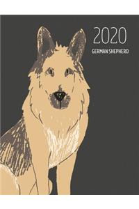 2020 German Shepherd