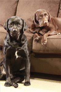 2020 Weekly Planner Cute Labrador Retrievers 134 Pages