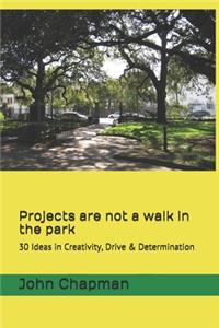 Projects are not a walk in the park
