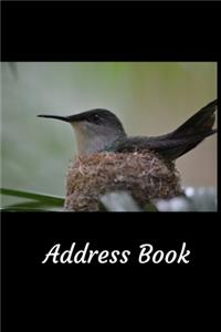 Address Book