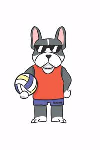 Volleyball Dog Notebook