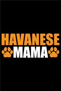 Havanese Mama