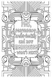 Pms, Pregnancy, Breast Feeding and Now Menopause - What's Next?: 6x9 Wide Ruled Notebook, Funny Ruled Paper Composition Book - Unique Inspirational Menopausal Joke Book, Diary Journal for Friend or Family Member - Retirement, Birthday, Christmas or