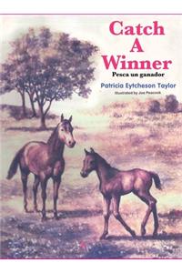 Catch a Winner - Bilingual