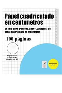 Papel cuadriculado en centímetros (márgenes pautados)