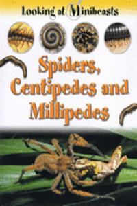 MINIBEASTS SPIDERS CENTIPEDES