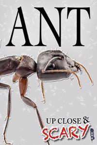 Up Close & Scary Ant