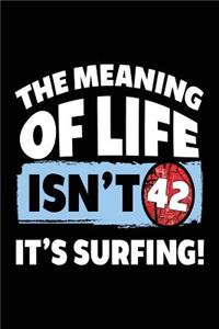 The Meaning Of Life Isn't 42 It's Surfing