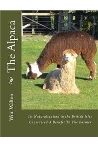 Alpaca
