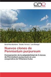 Nuevos clones de Pennisetum purpureum