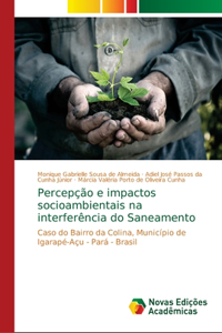 Percepção e impactos socioambientais na interferência do Saneamento