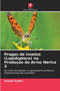 Pragas de Insetos (Lepidoptera) na Produção de Arroz Nerica 3