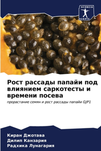 Рост рассады папайи под влиянием саркотес