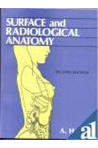 Surface and Radiological Anatomy