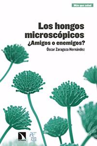 Los hongos microscopicos: Â¿Amigos o enemigos?