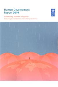 Human development report 2014
