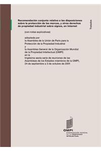 Recomendación conjunta relativa a las disposiciones sobre la protección de las marcas, y otros derechos de propiedad industrial sobre signos, en Internet