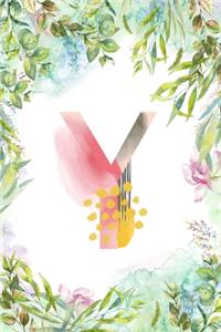 Y