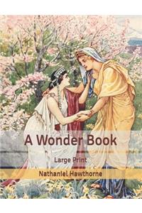A Wonder Book