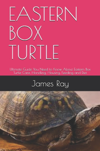 Eastern Box Turtle