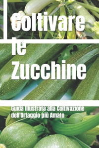 Orto di Zucchine