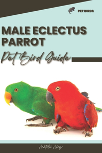 Male Eclectus Parrot